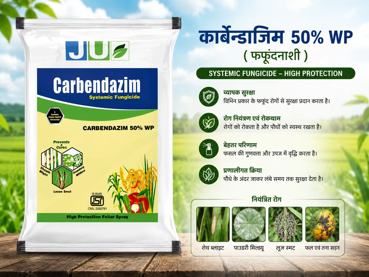 कार्बेन्डाजिम 50% WP (फफूंदनाशी)