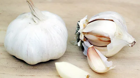 लहसुन की खेती — मंदसौर/MP सम्पूर्ण गाइड