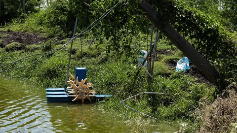 मछली पालन का तालाब