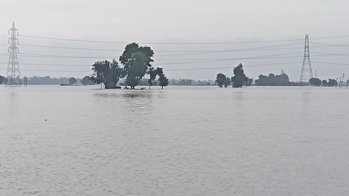 बाढ़ के पानी में डूबा हुआ खेत