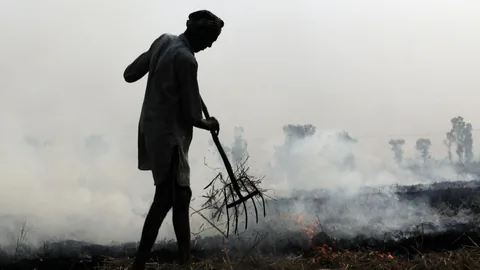 खेत में पराली जलाता किसान