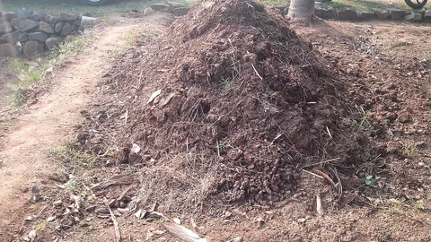 खेत में कम्पोस्ट का गड्ढा