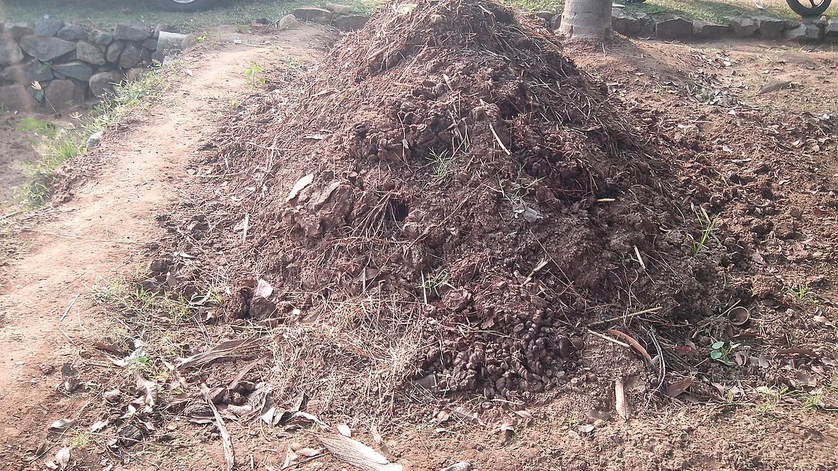 खेत में कम्पोस्ट का गड्ढा