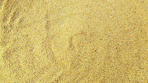 ಸಿರಿಧಾನ್ಯದ ಬೆಳೆ