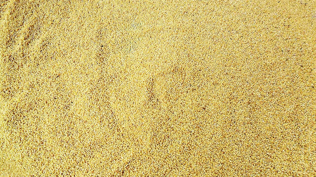 ಸಿರಿಧಾನ್ಯದ ಬೆಳೆ