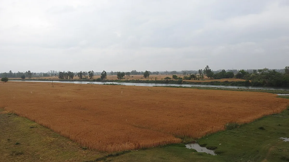 उत्तर प्रदेश — भारत का सबसे बड़ा कृषि राज्य