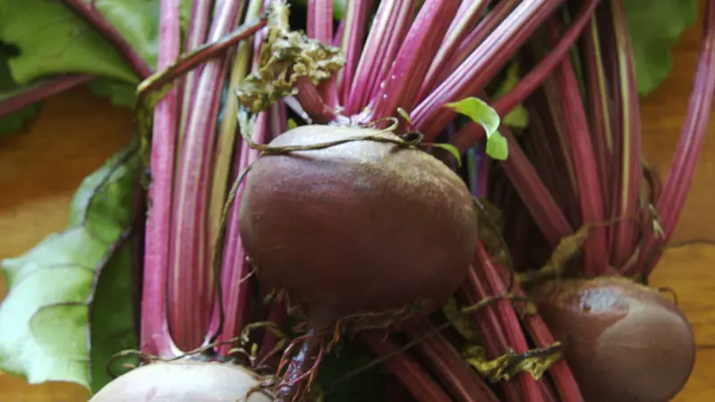 Beetroot