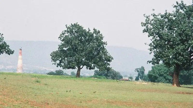 Mahua