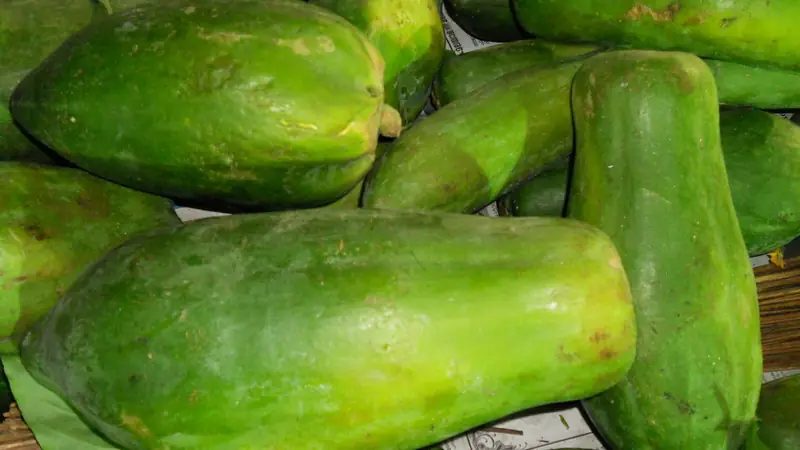 पपीता