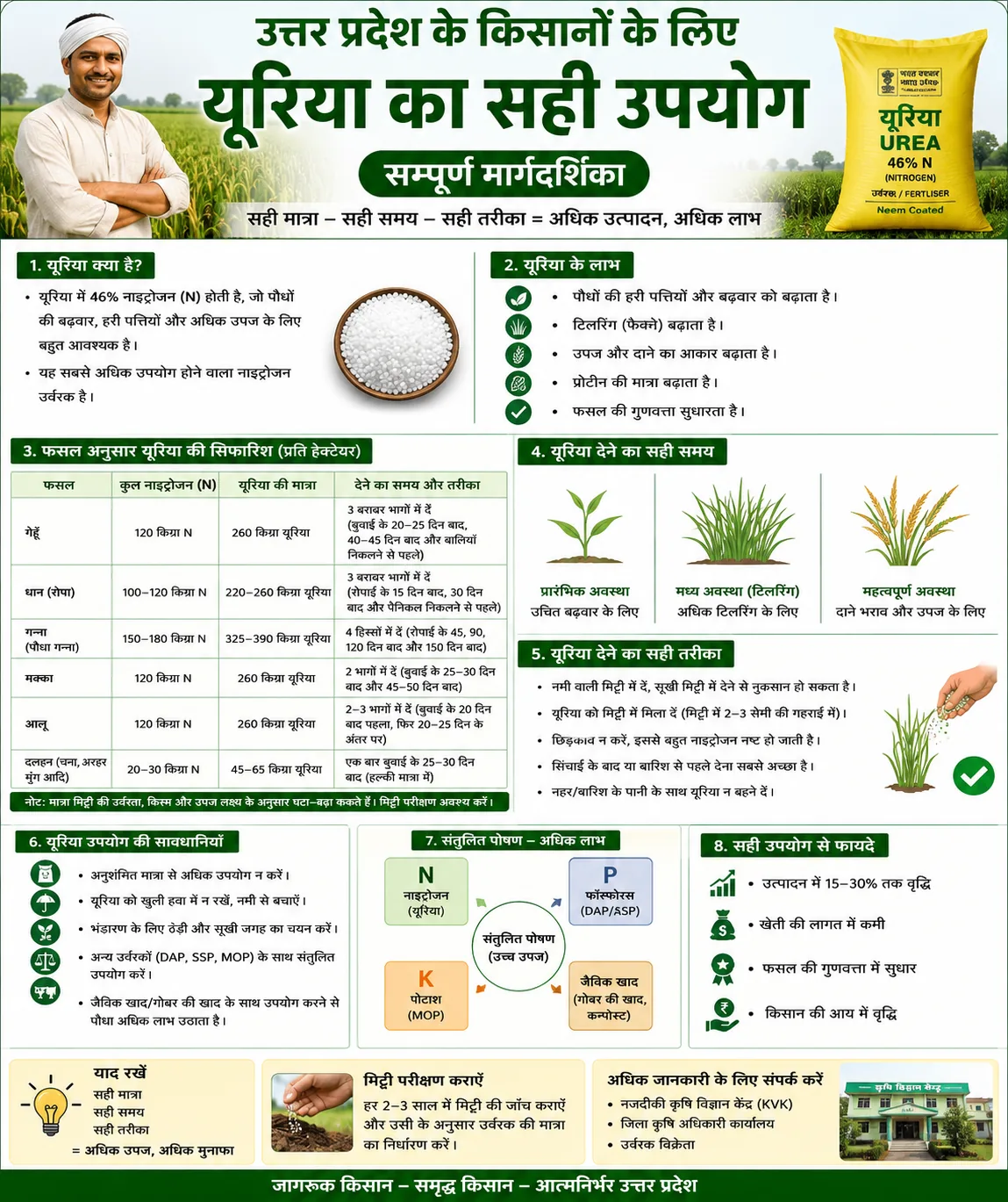 यूरिया और DAP: कब और कितना दें?
